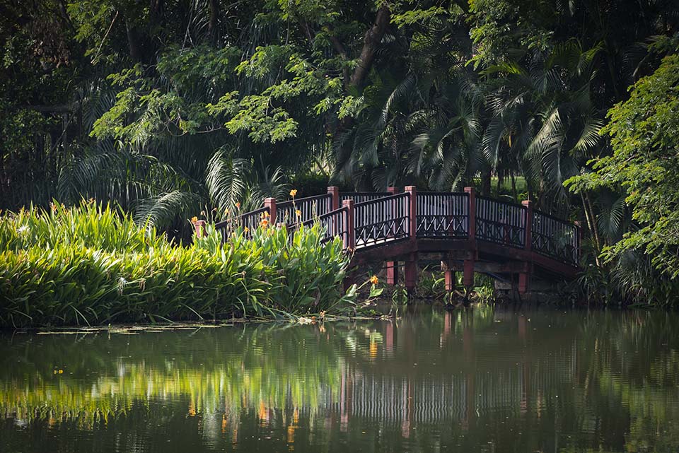 PHGE_2015_00532.jpg