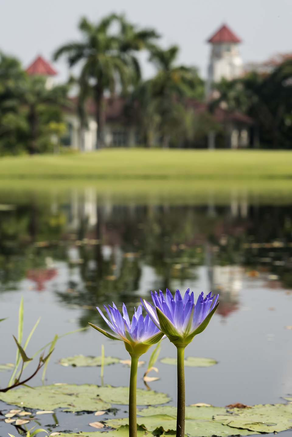 PHGE_2015_00572.jpg
