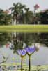 PHGE_2015_00572.jpg