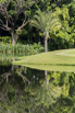 PHGE_2015_00579.jpg