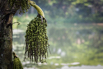 PHGE_2015_00581.jpg