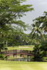 PHGE_2015_00609.jpg