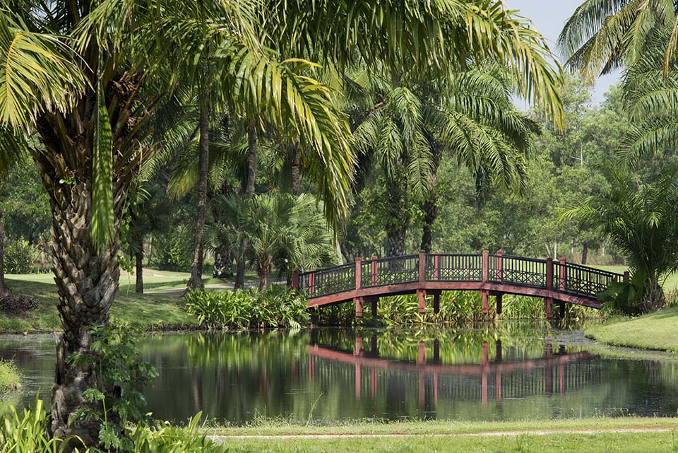 PHGE_2015_00618.jpg
