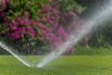PHGE_2015_00679.jpg