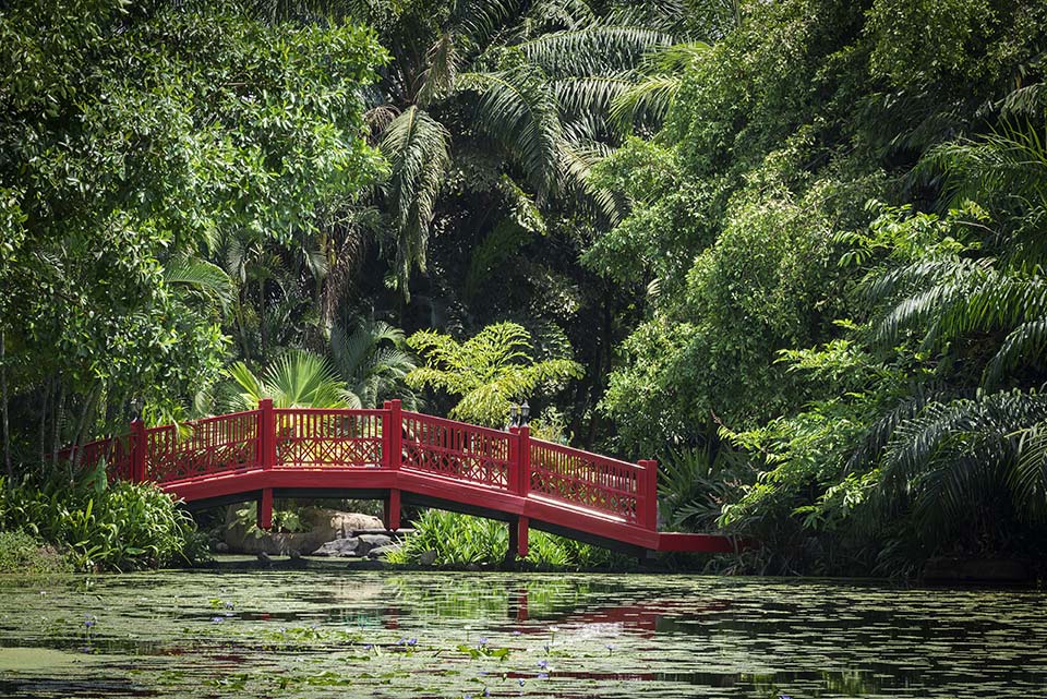 PHGE_2015_00770.jpg
