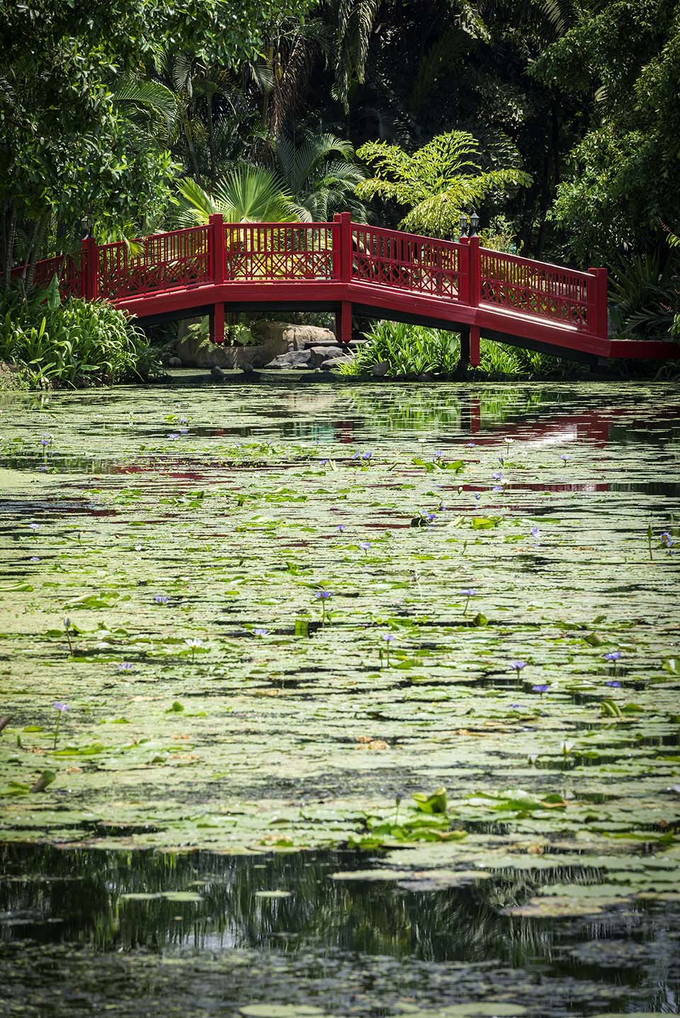 PHGE_2015_00771.jpg