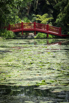 PHGE_2015_00771.jpg
