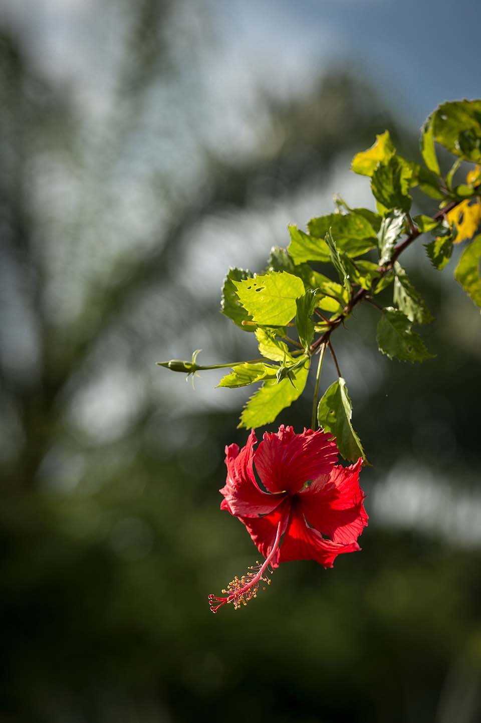 PHGE_2015_01164.jpg