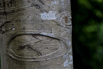 PHGE_2015_01193.jpg