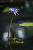 PHGE_2015_01210.jpg