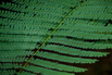 PHGE_2015_01222.jpg