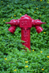 PHGE_2015_01286.jpg