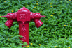 PHGE_2015_01289.jpg