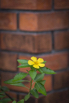 PHGE_2015_01294.jpg