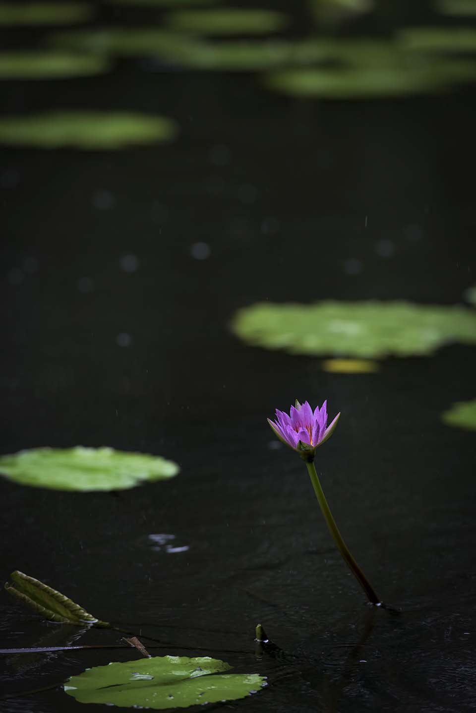 PHGE_2015_01359.jpg