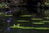 PHGE_2015_01363.jpg