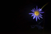 PHGE_2015_01399.jpg