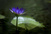PHGE_2015_01421.jpg