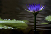 PHGE_2015_01427.jpg