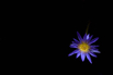 PHGE_2015_01560.jpg