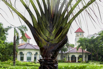 PHGE_2015_01574.jpg