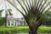 PHGE_2015_01575.jpg