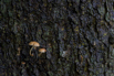 PHGE_2015_01640.jpg