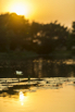 PHGE_2016_01514.jpg