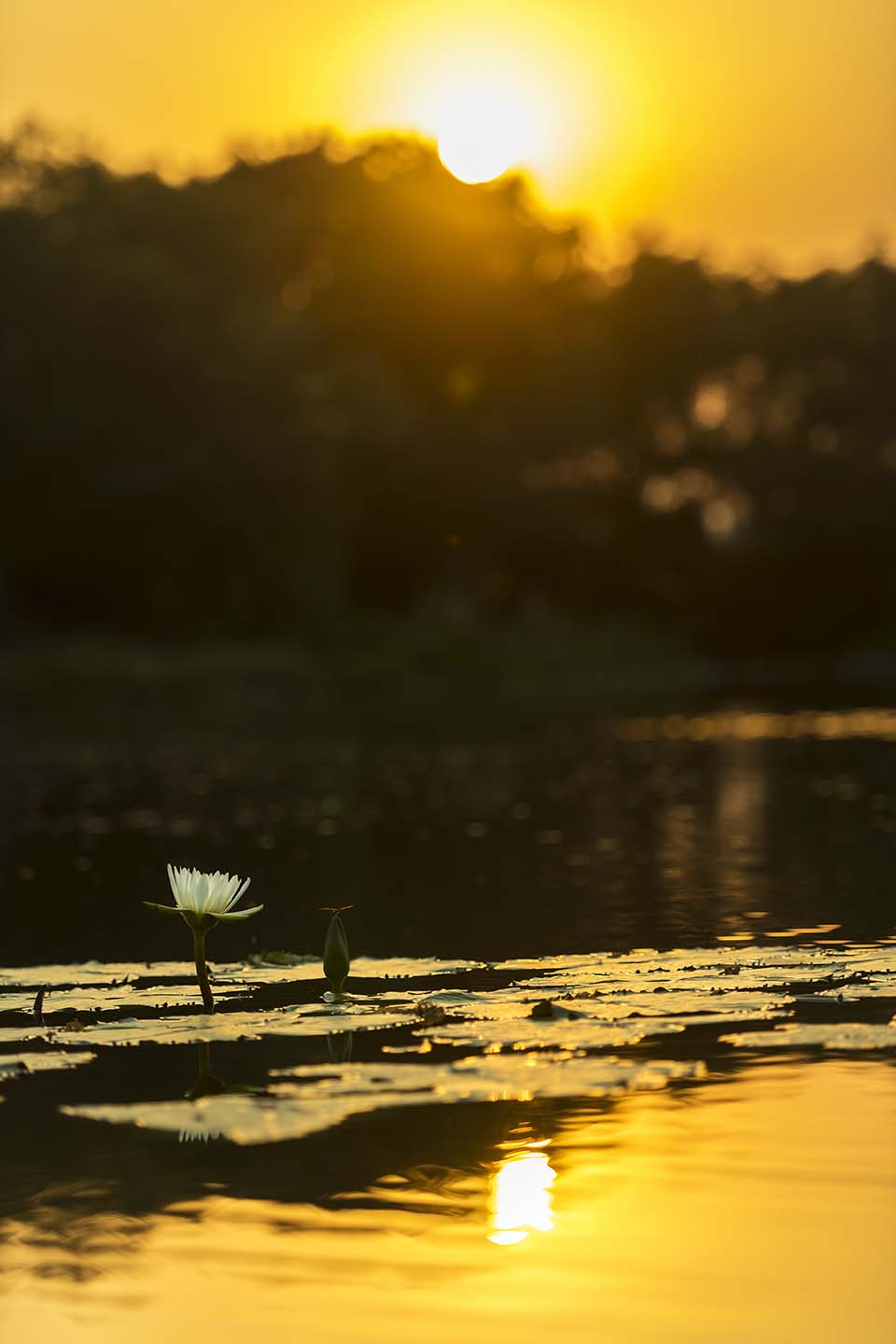PHGE_2016_01517.jpg