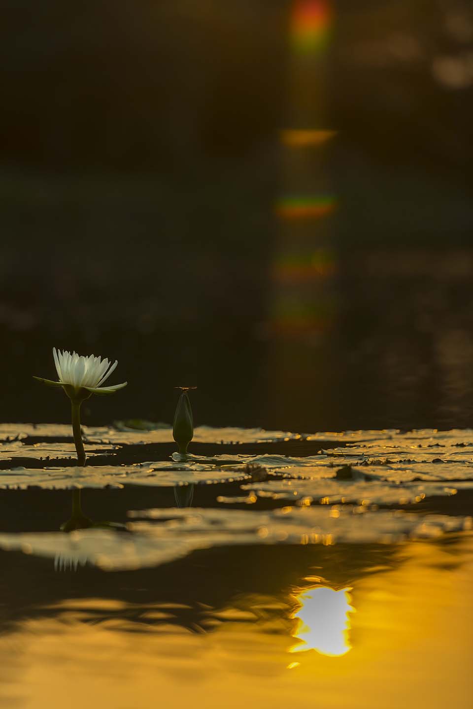 PHGE_2016_01519.jpg