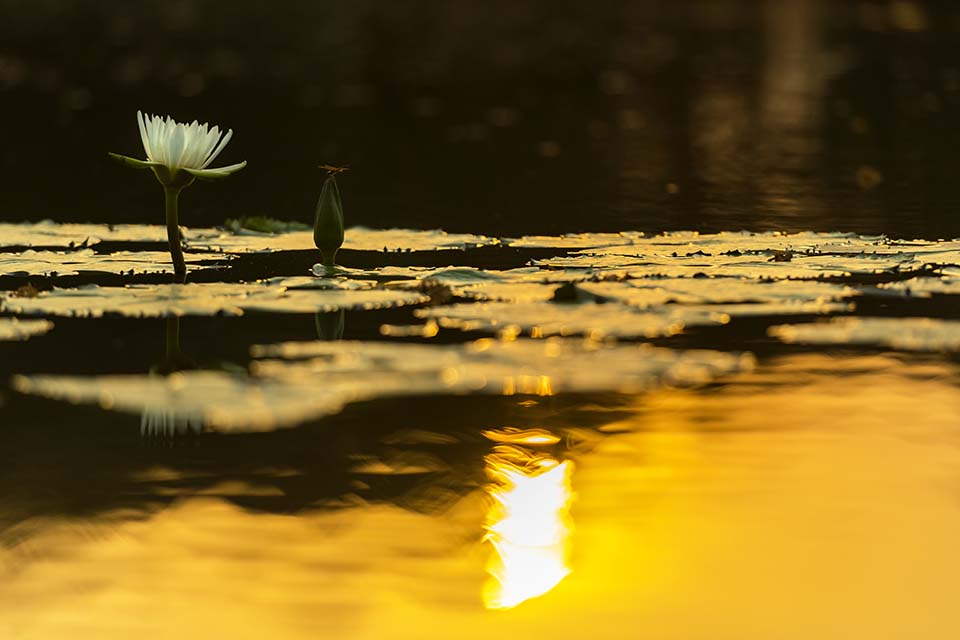 PHGE_2016_01520.jpg