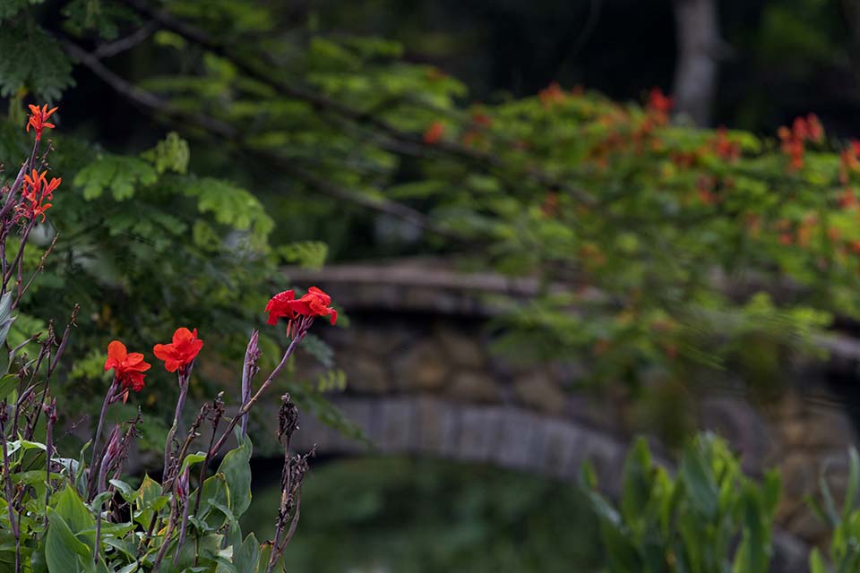 PHGE_2016_01645.jpg