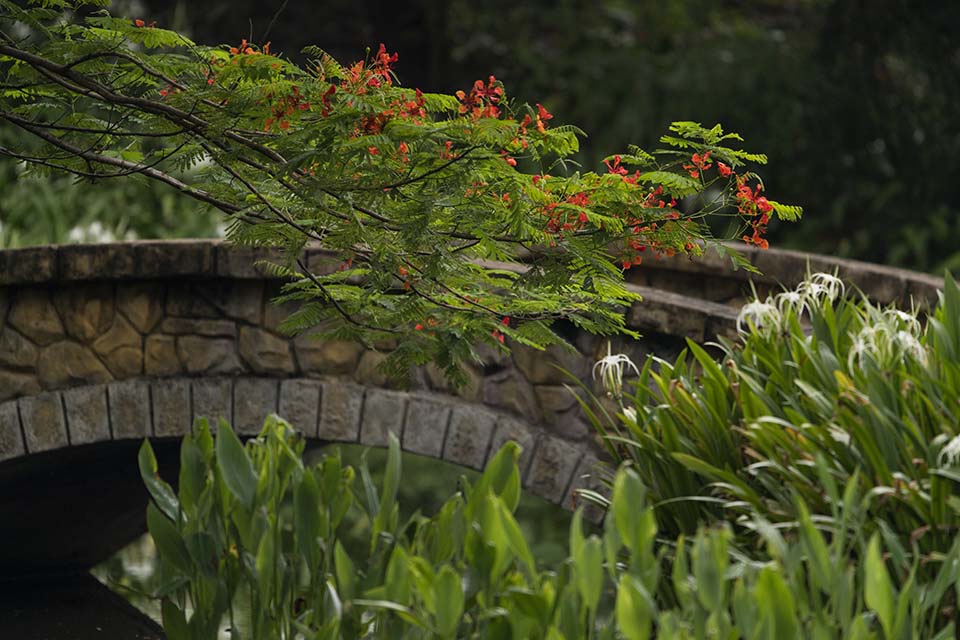 PHGE_2016_01646.jpg