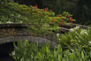 PHGE_2016_01646.jpg