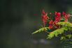 PHGE_2016_01648.jpg