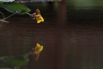 PHGE_2016_01653.jpg
