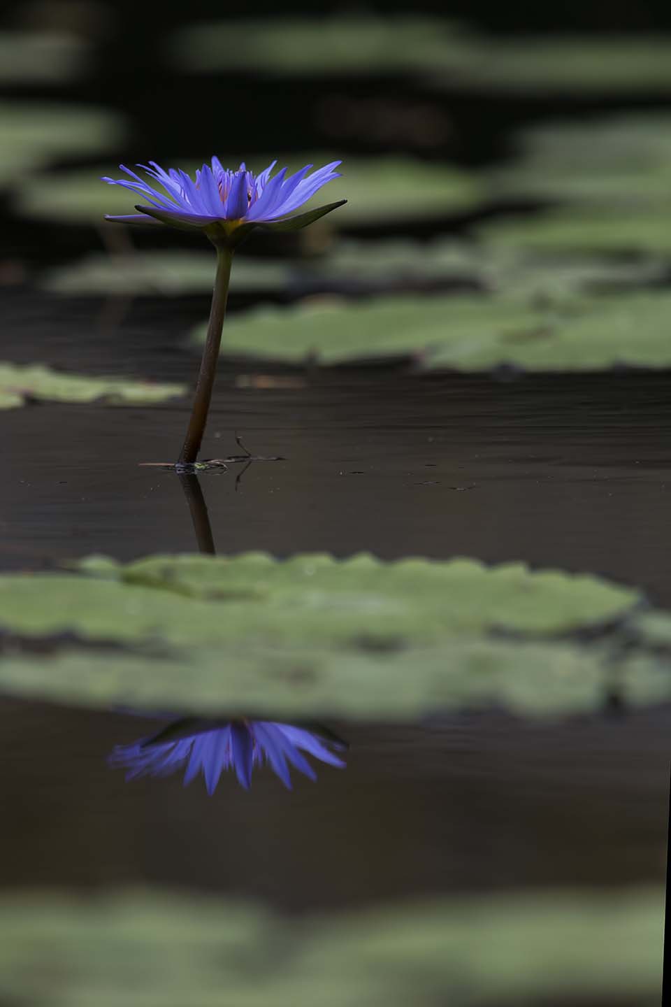 PHGE_2016_01655.jpg