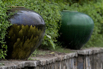 PHGE_2016_01657.jpg