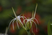 PHGE_2016_01659.jpg