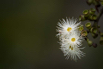 PHGE_2016_01676.jpg