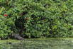 PHGE_2016_01705.jpg