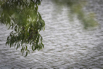 PHGE_2016_01716.jpg