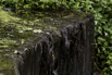 PHGE_2016_01717.jpg