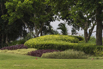 PHGE_2016_01723.jpg