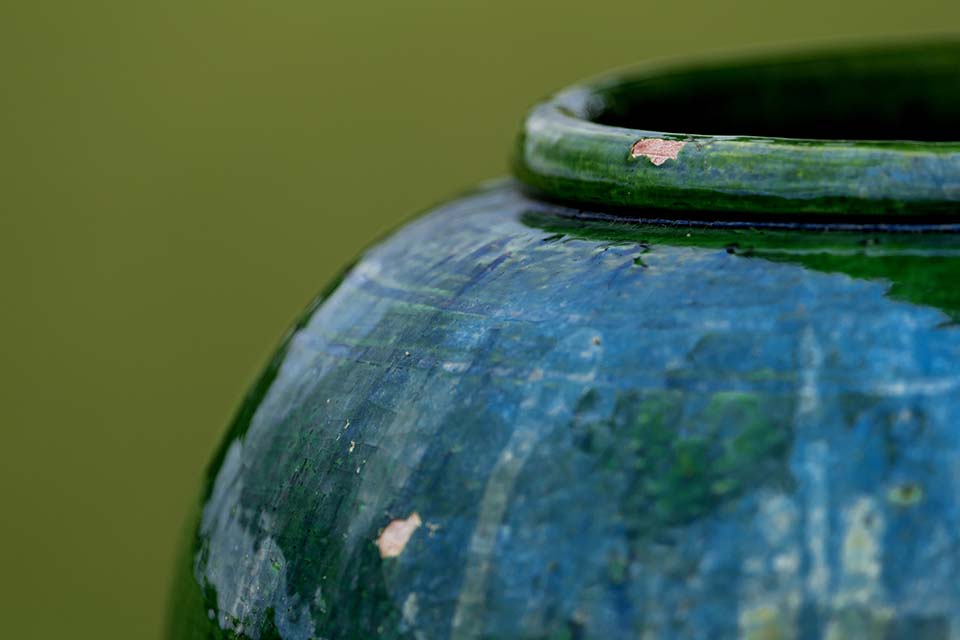 PHGE_2016_01724.jpg