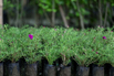 PHGE_2016_01748.jpg