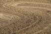 PHGE_2016_01828.jpg