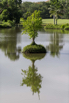 PHGE_2016_01831.jpg