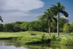 PHGE_2016_01833.jpg