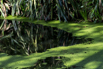 PHGE_2016_01844.jpg